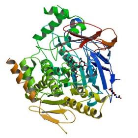 PBB_Protein_ACHE_image
